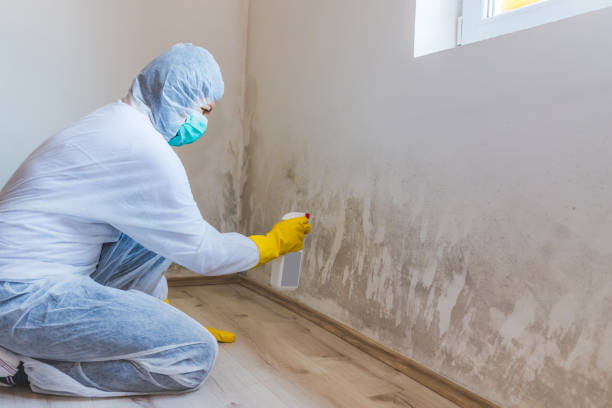 Mold inspector in Vienna performing thermal imaging